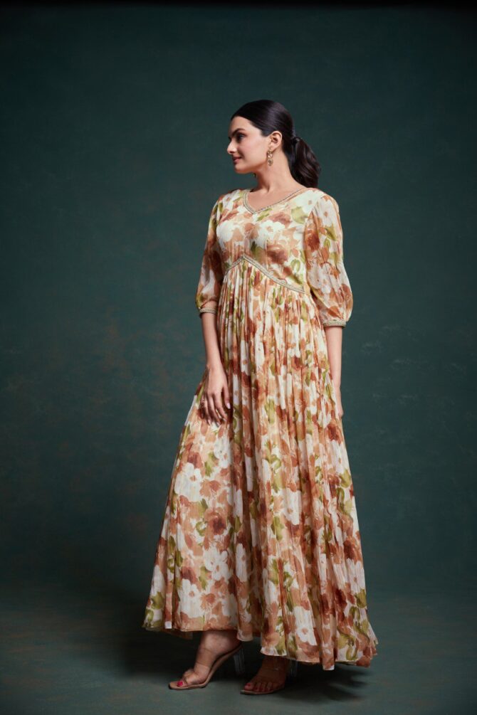 Pehnava Style Grey Chiffon Gown - Image 4