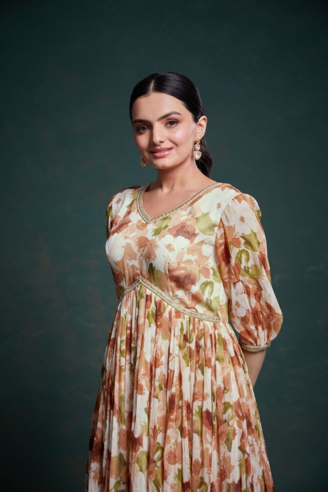 Pehnava Style Grey Chiffon Gown - Image 6