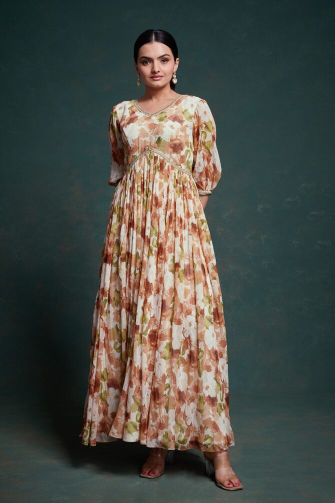 Pehnava Style Grey Chiffon Gown - Image 7