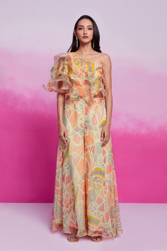 Pehnava Style Cream Organza Printed Co-Ord Set - Image 7