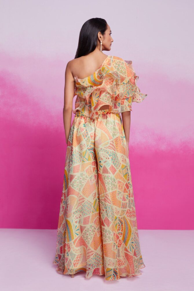 Pehnava Style Cream Organza Printed Co-Ord Set - Image 4