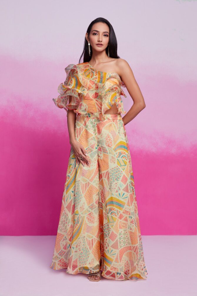 Pehnava Style Cream Organza Printed Co-Ord Set - Image 6